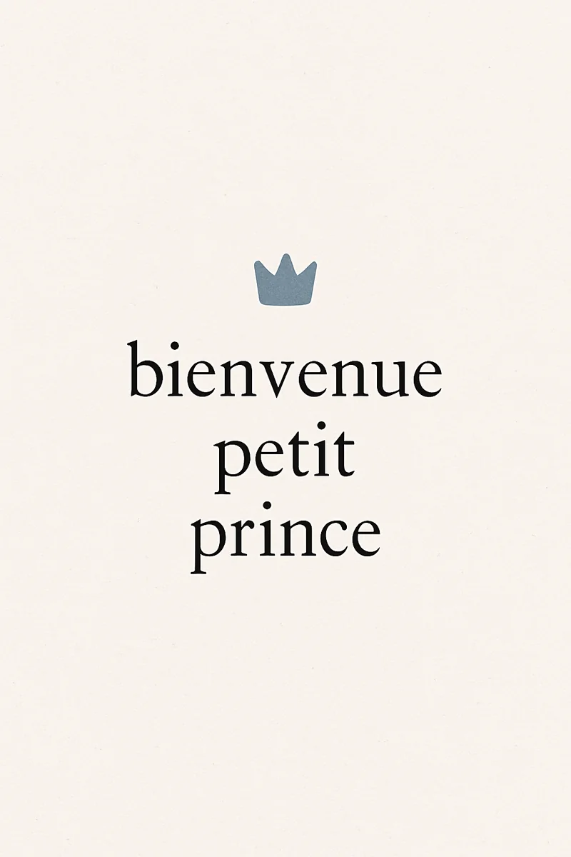 Affiche Bienvenue Petit Prince